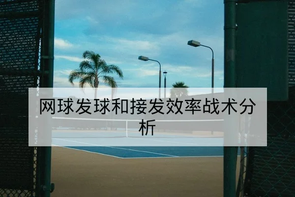 网球发球和接发效率战术分析