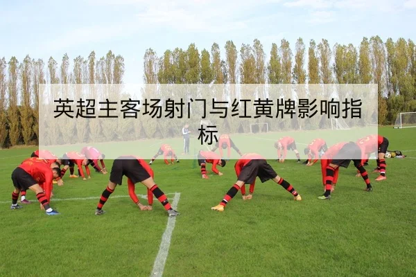 竞彩让球与总进球数盘口术语与风险说明