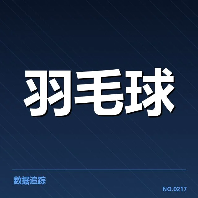 中国代表队获得的具体成绩